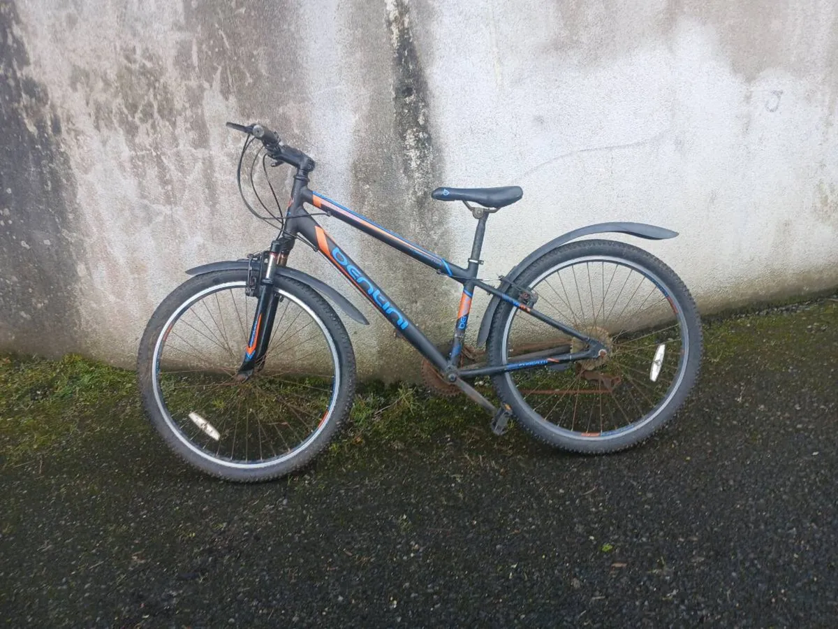 Bike - Image 1