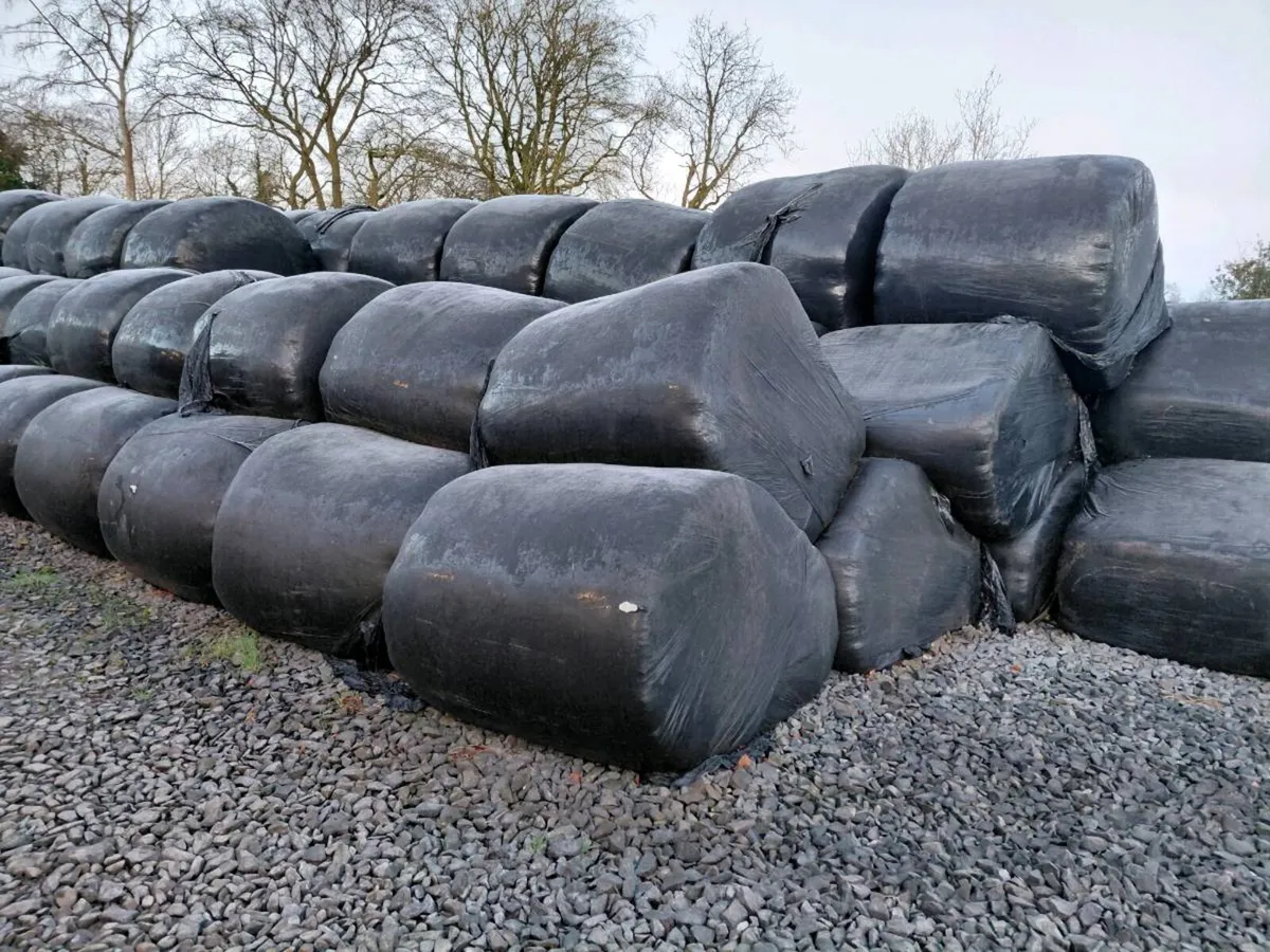 Silage - Image 1
