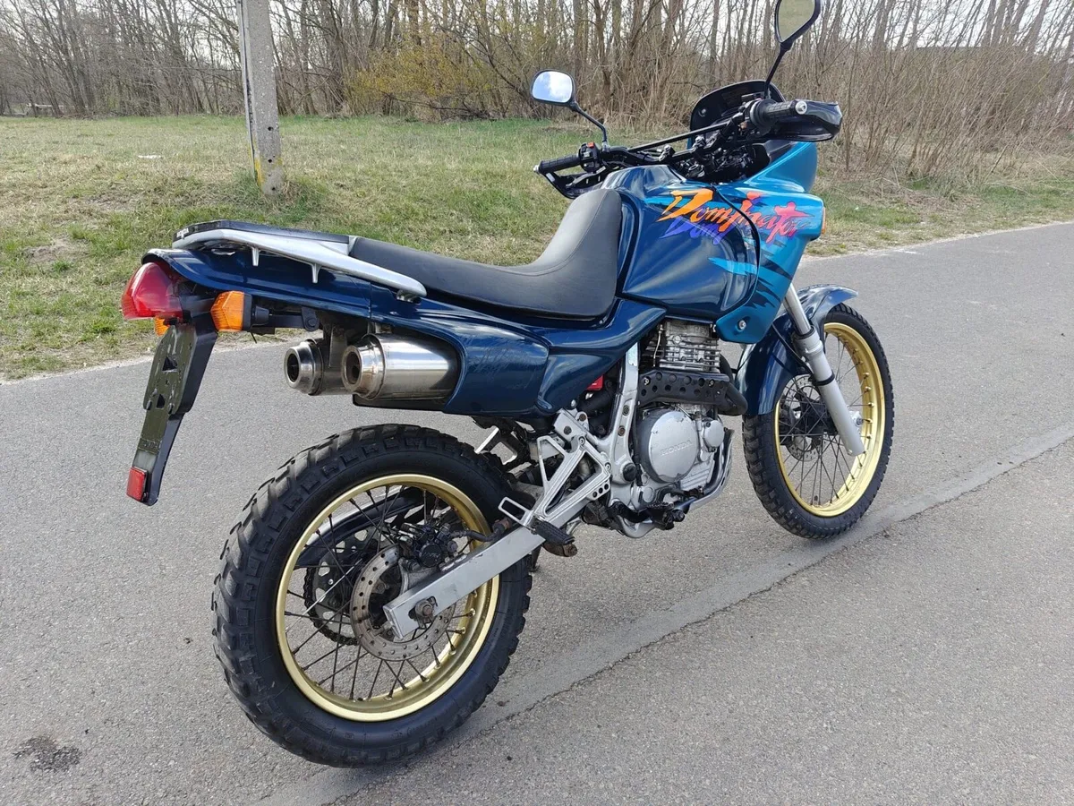 Honda dominator 650 - from Germany - Image 3