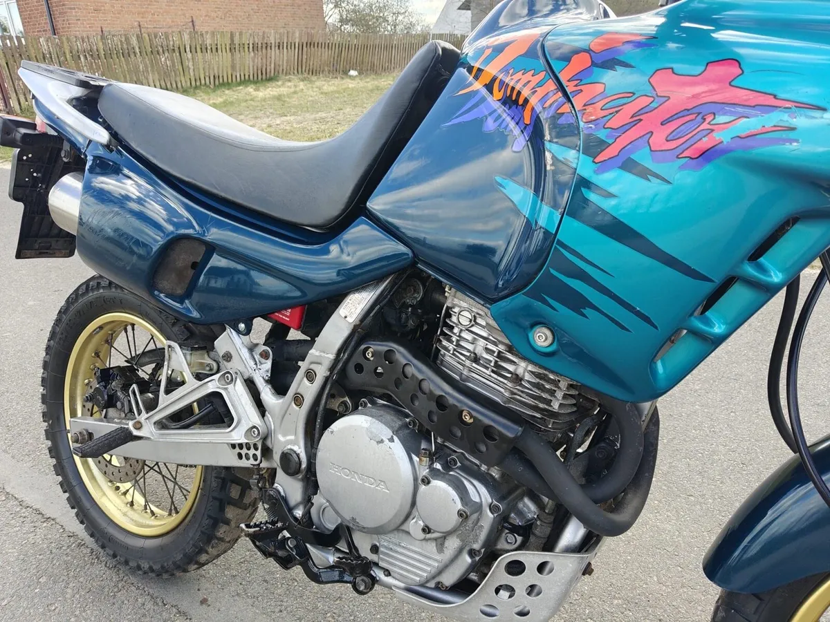 Honda dominator 650 - from Germany - Image 4