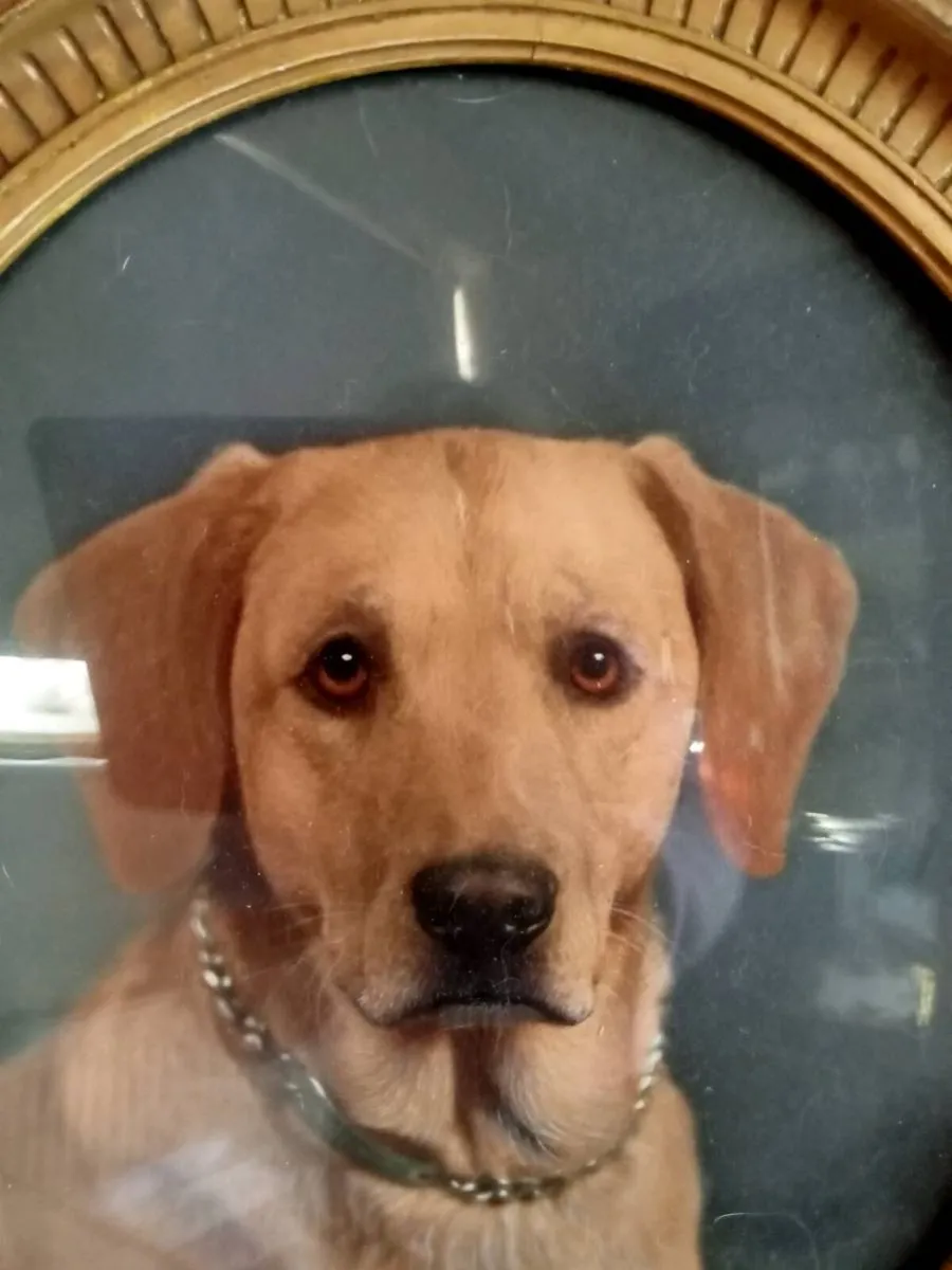 Portrait gilt picture - Image 3