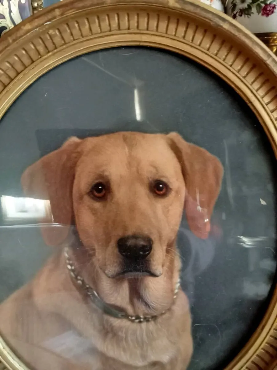 Portrait gilt picture - Image 4