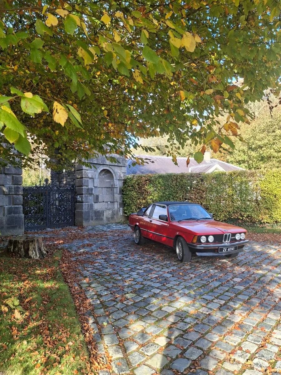 BMW 3-Series 1981 - Image 4