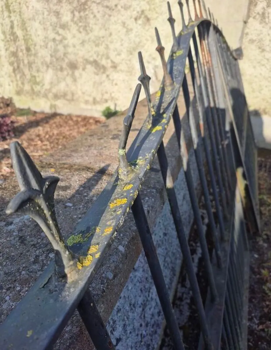 Metal Gates - Image 3