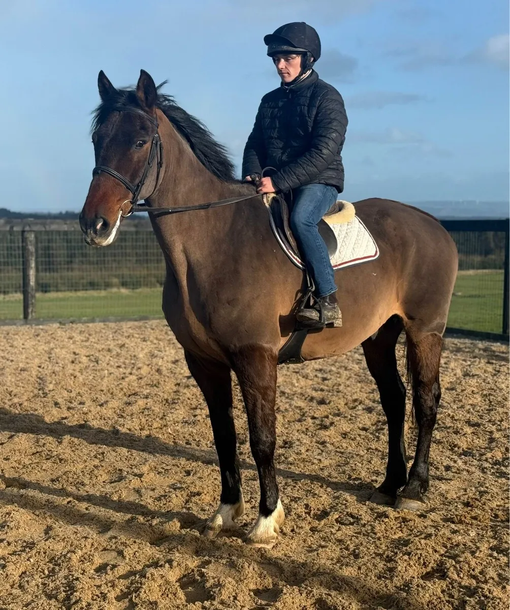 Cool allrounder - Image 4