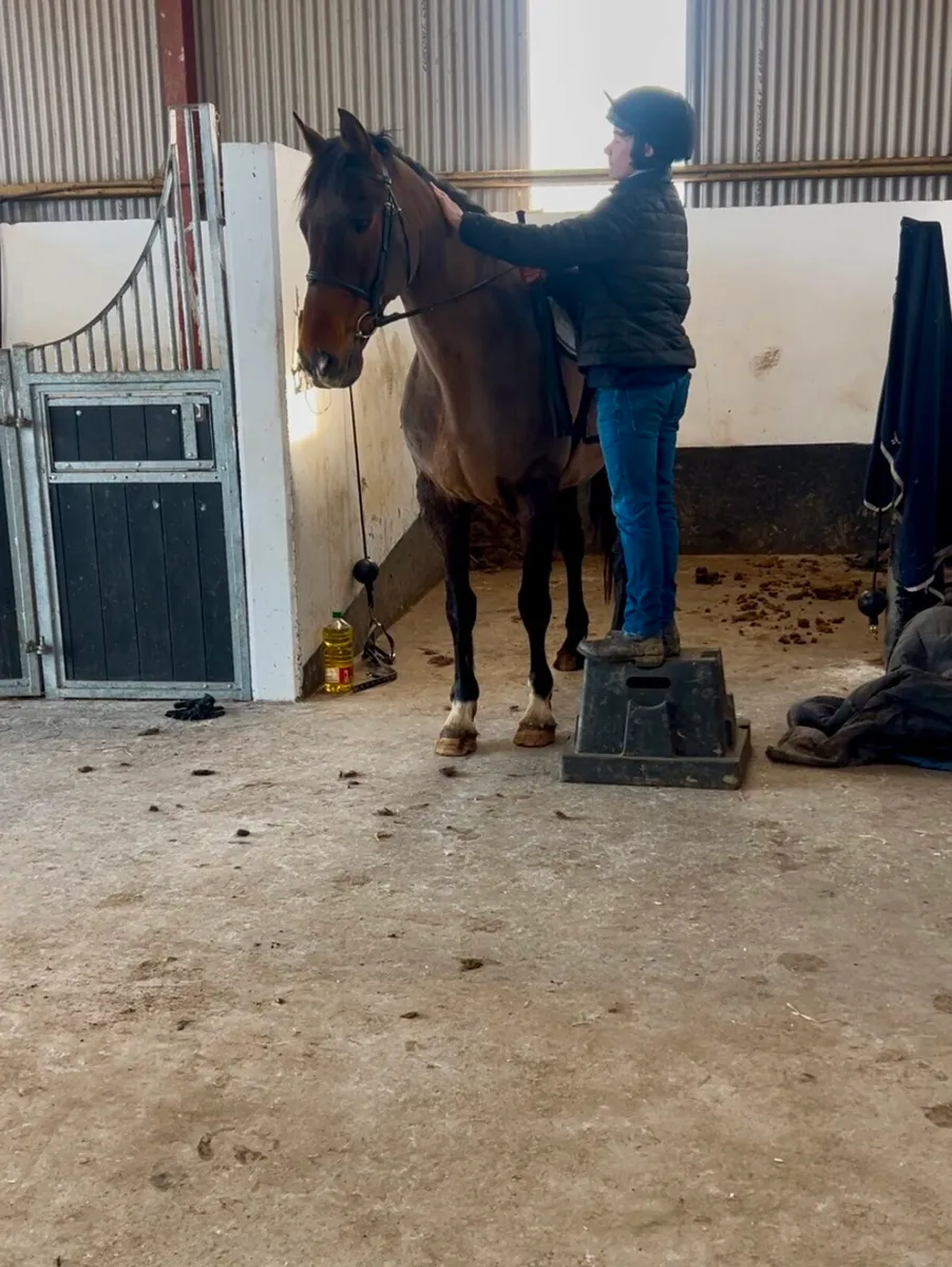 Cool allrounder - Image 2