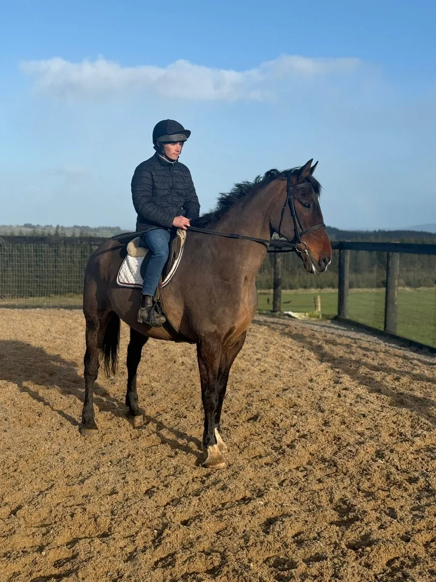 Cool allrounder - Image 3