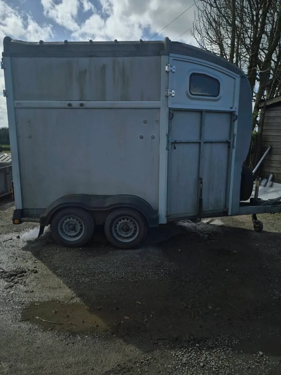 Nugent Horse Box - Image 4