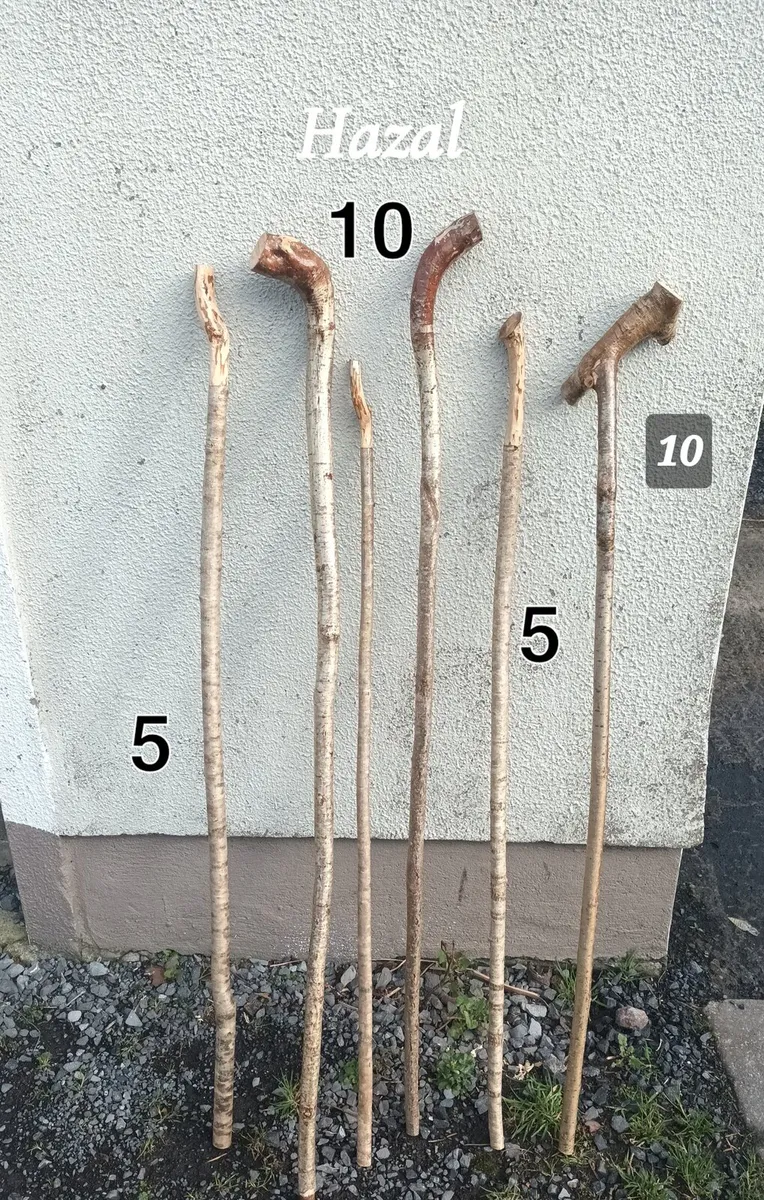 Blackthorn stick - Image 4