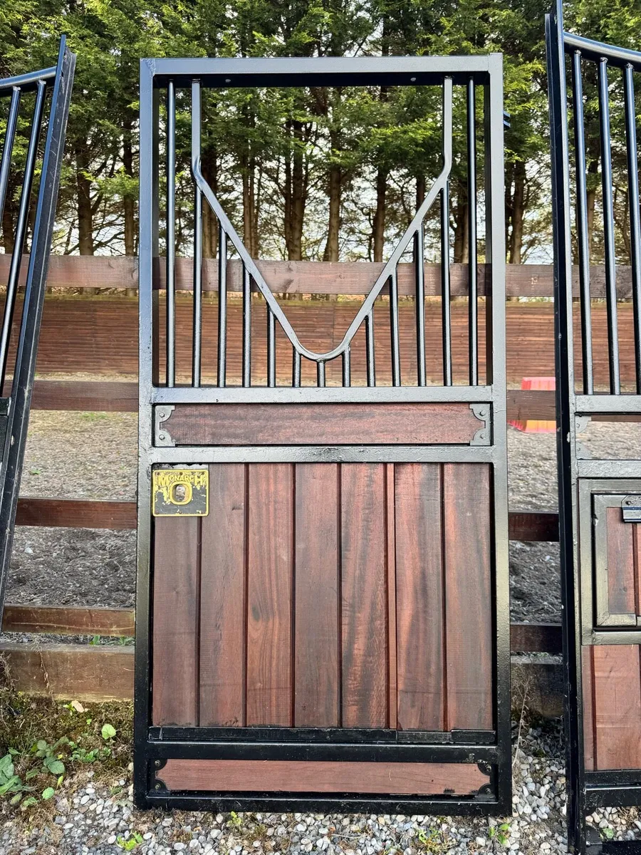 8 Monarch internal Stables for auction Holmestead - Image 1