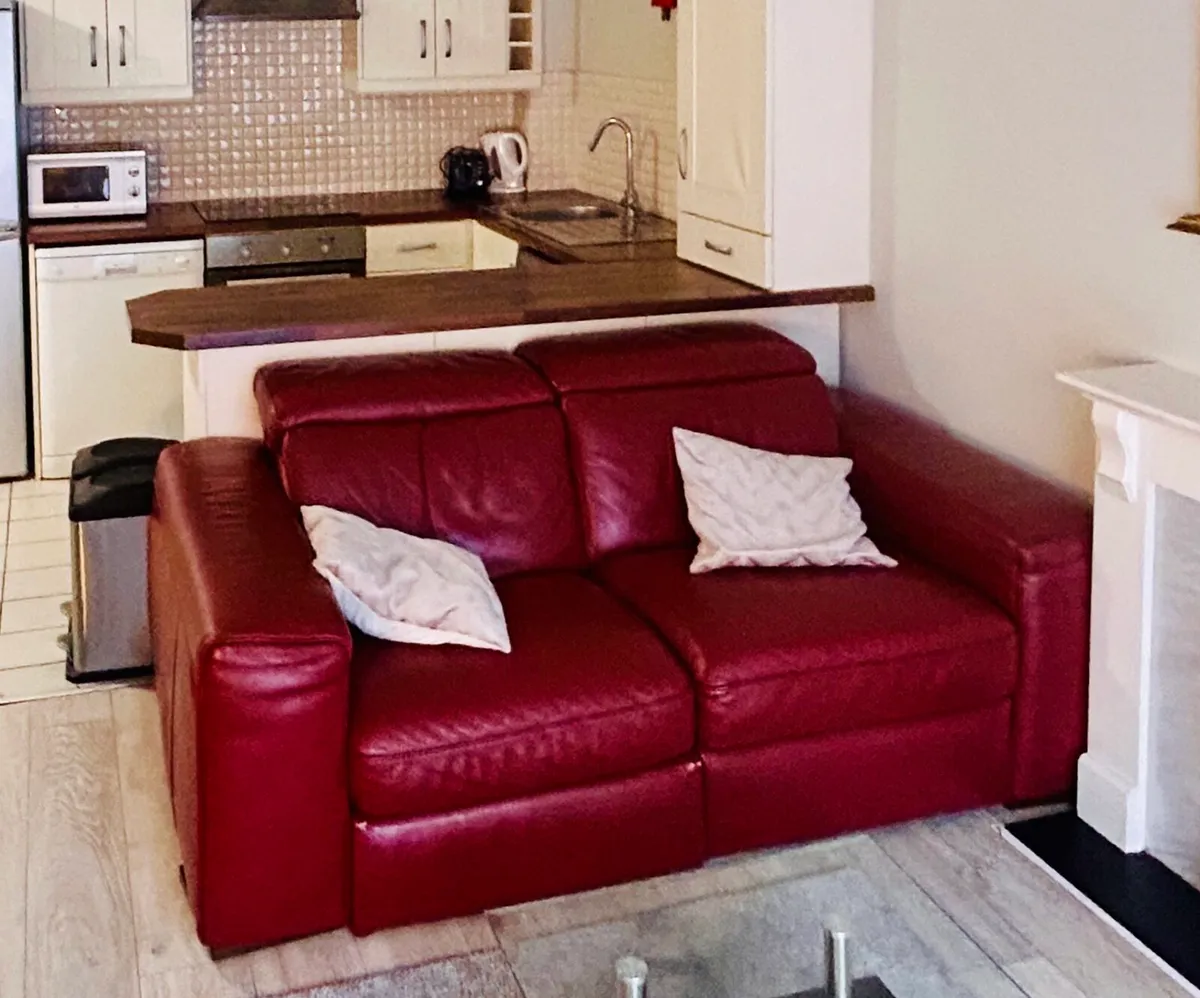 Natuzzi Leather sofas