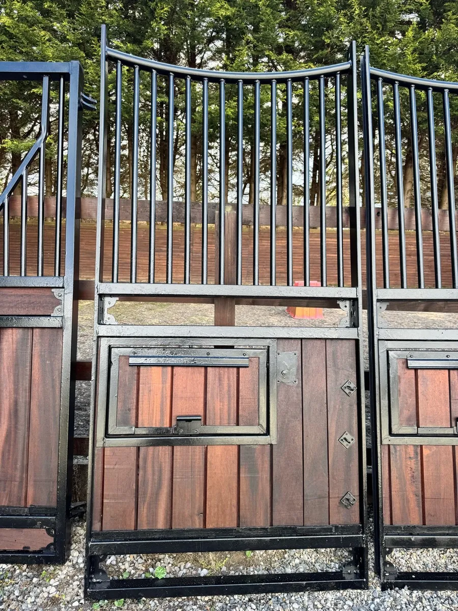 8 Monarch internal Stables for auction Holmestead - Image 3