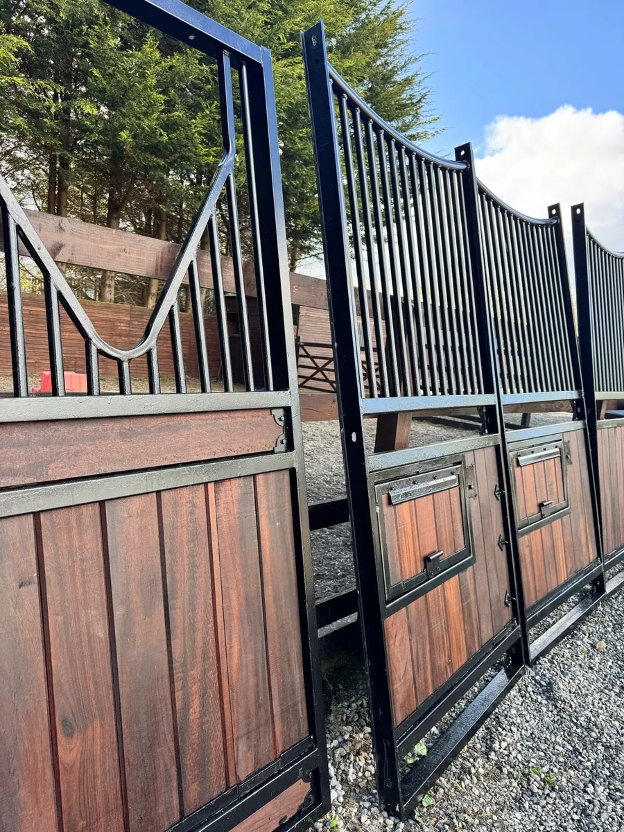 8 Monarch internal Stables for auction Holmestead - Image 2