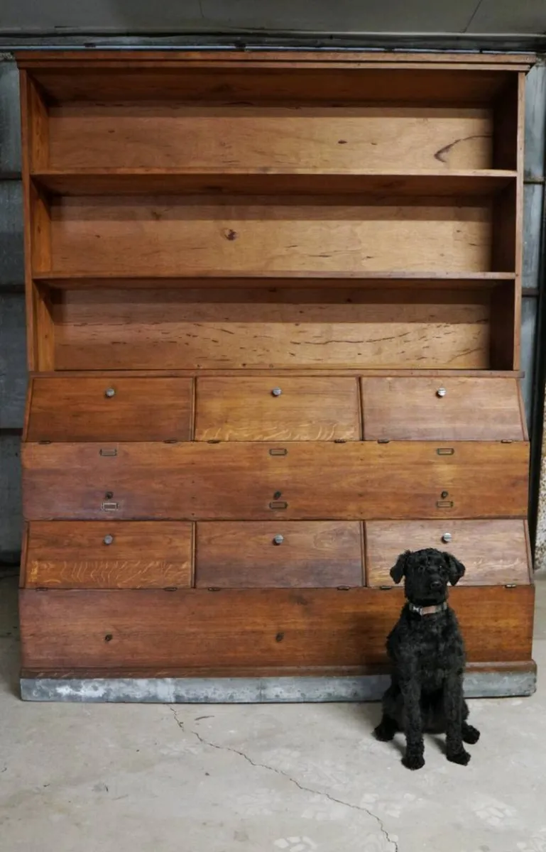 Vintage seed shop cabinet antique - Image 1