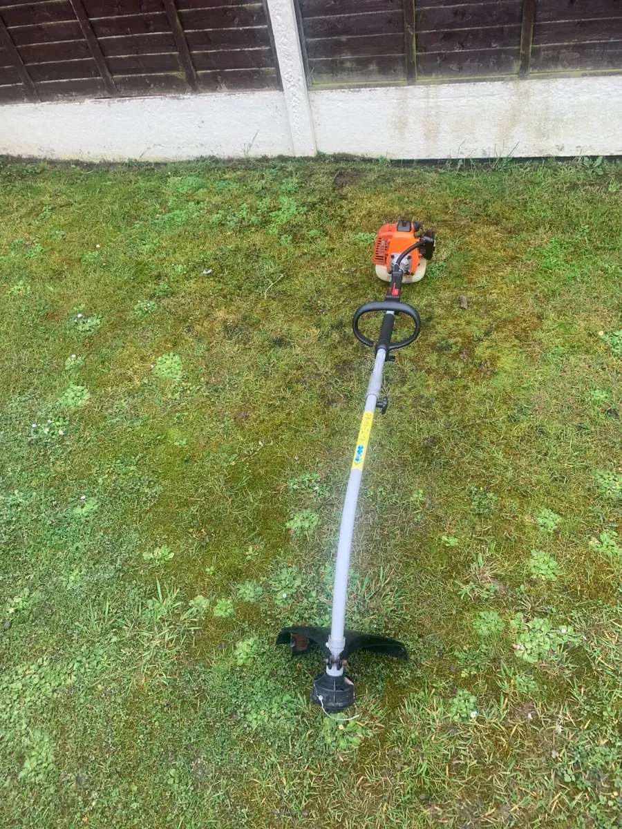 Strimmer - Image 1