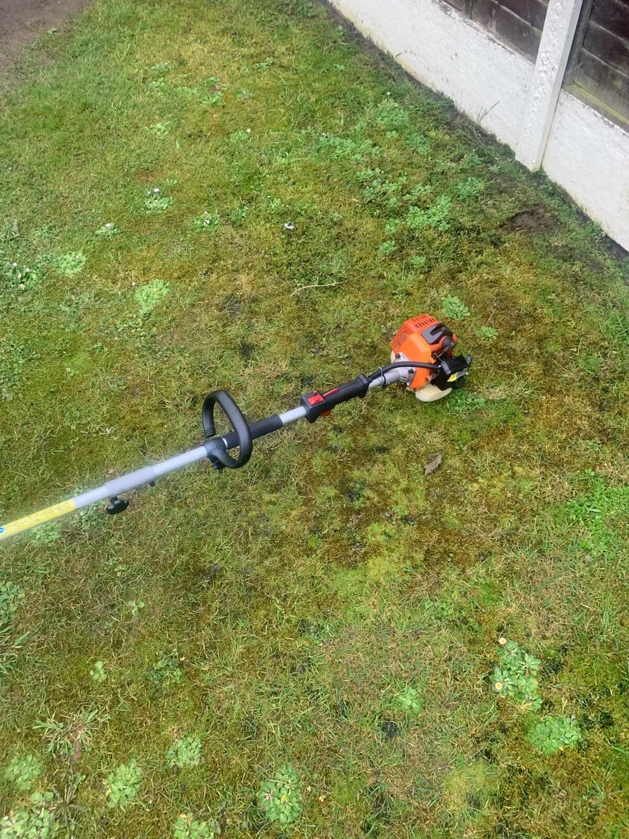 Strimmer - Image 2