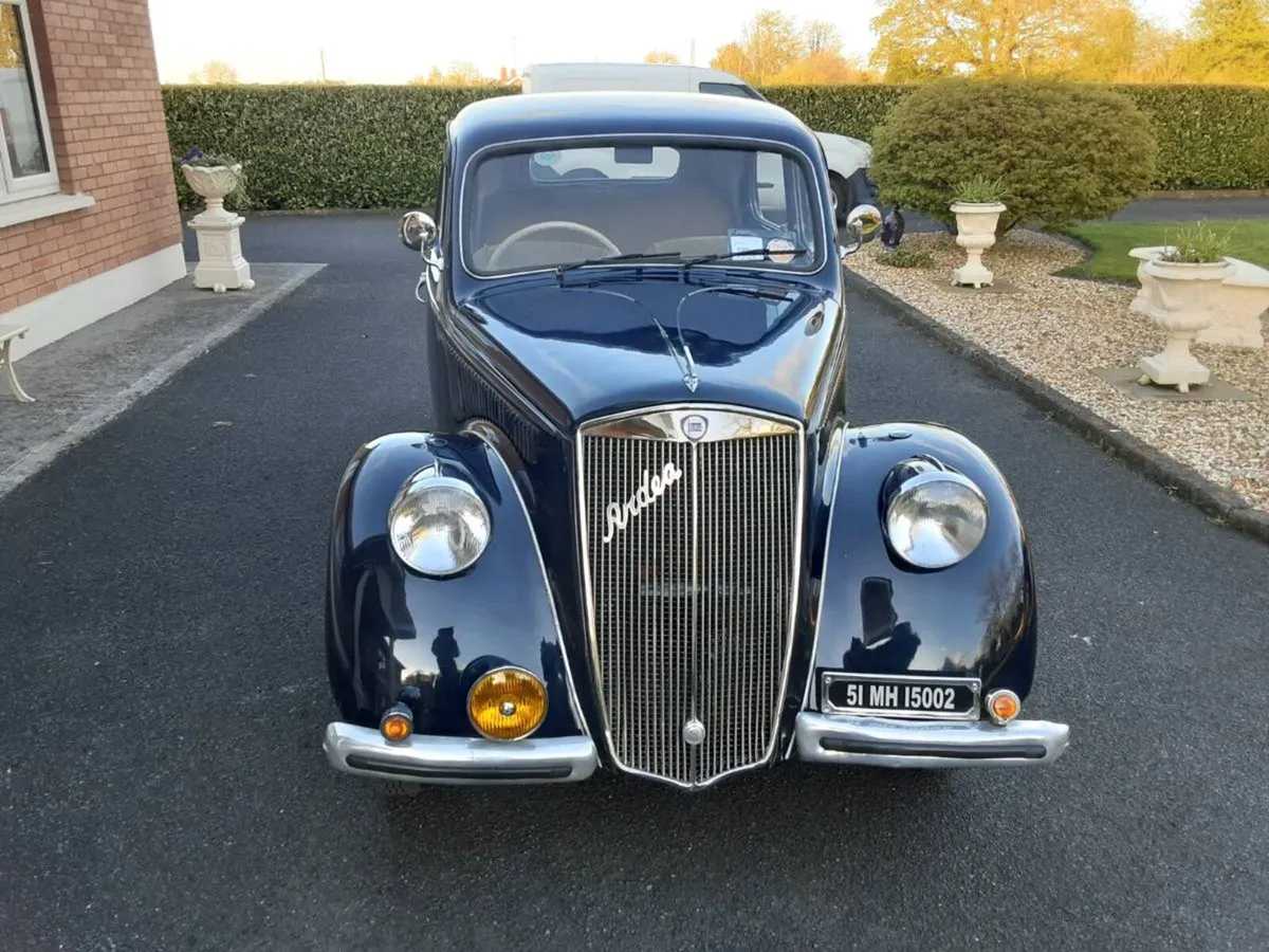Lancia ardea - Image 1
