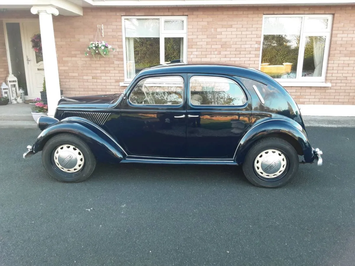 Lancia ardea - Image 2