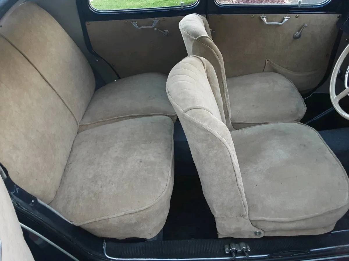 Lancia ardea - Image 4