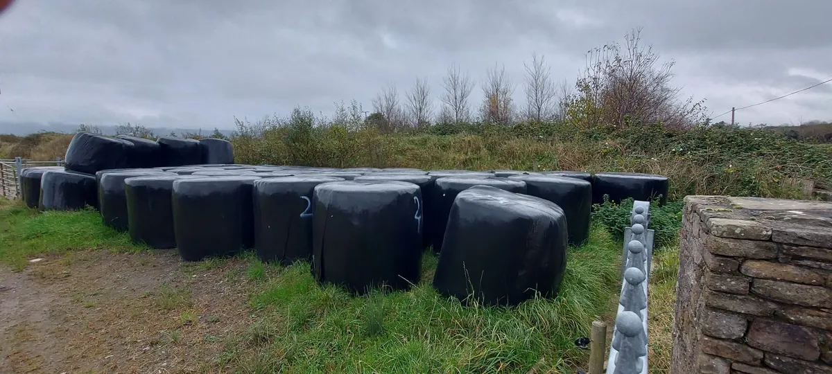 Round Bales of Silage