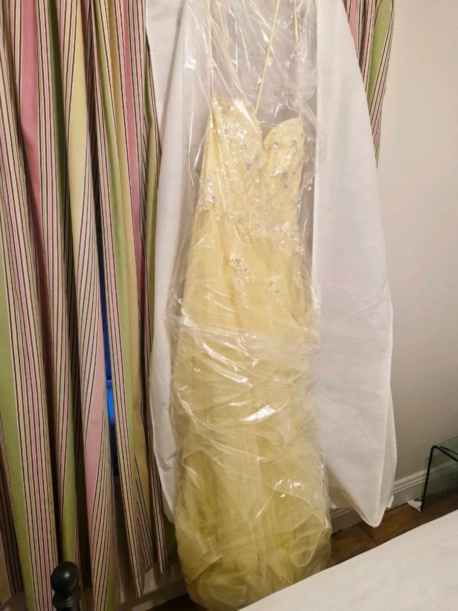 Debs Dress - Image 4