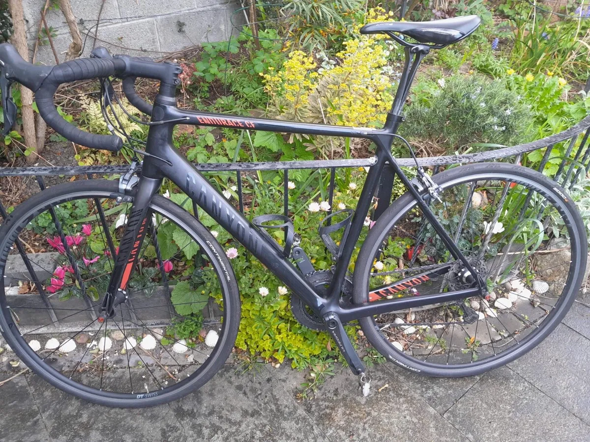 Canyon Endurace CF 9 (2016) - Image 1