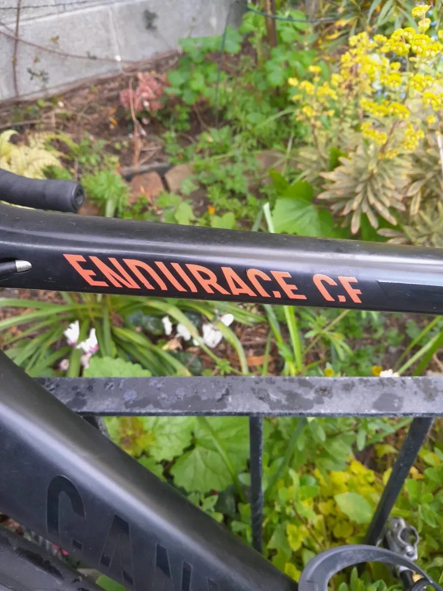Canyon Endurace CF 9 (2016) - Image 2