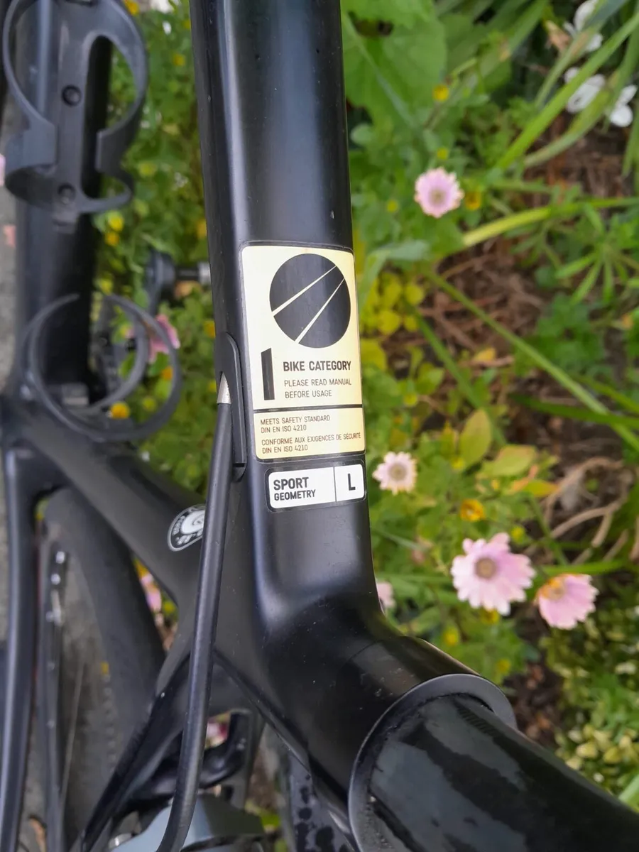 Canyon Endurace CF 9 (2016) - Image 3