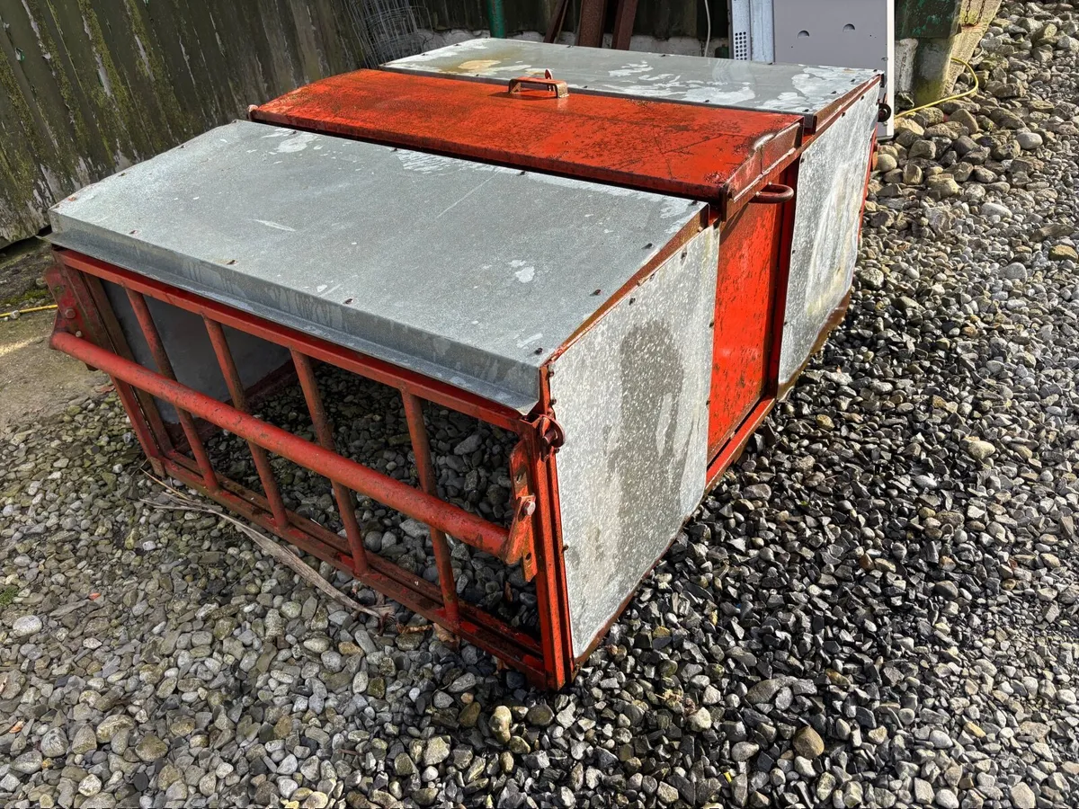 Sheep feeder - Image 2