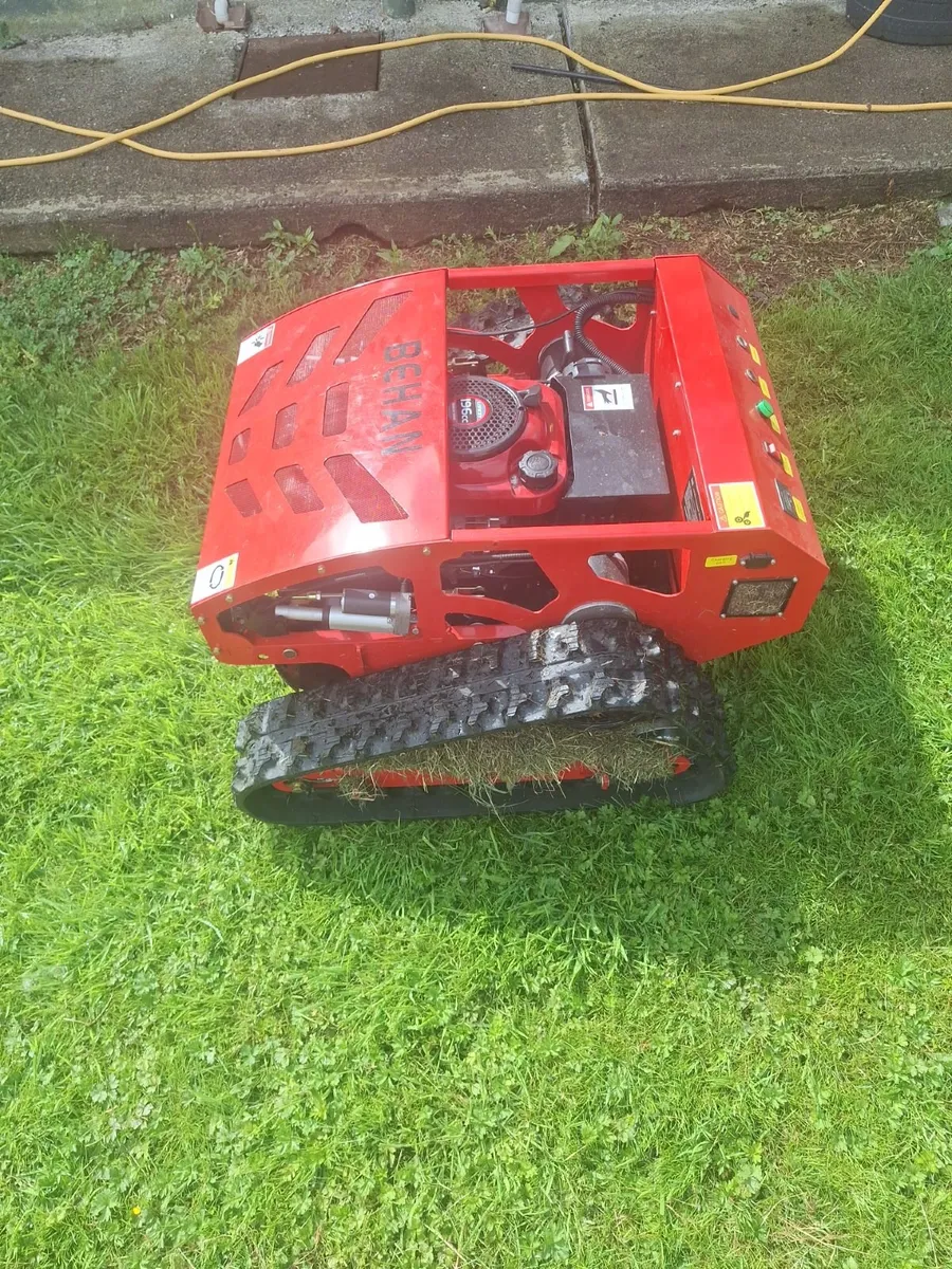 Lawn Mower Tracked - Image 2