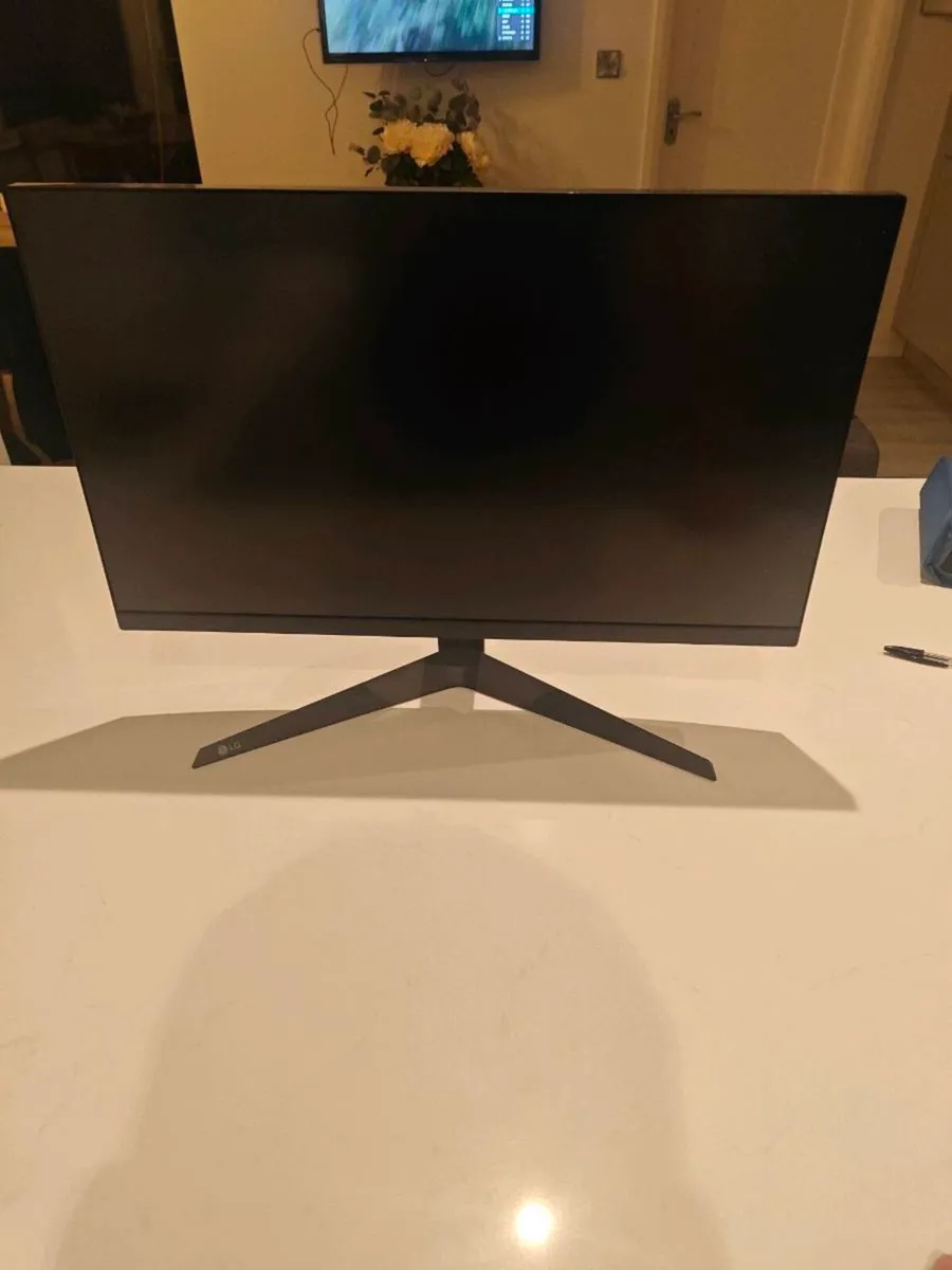 LG Gaming Monitor