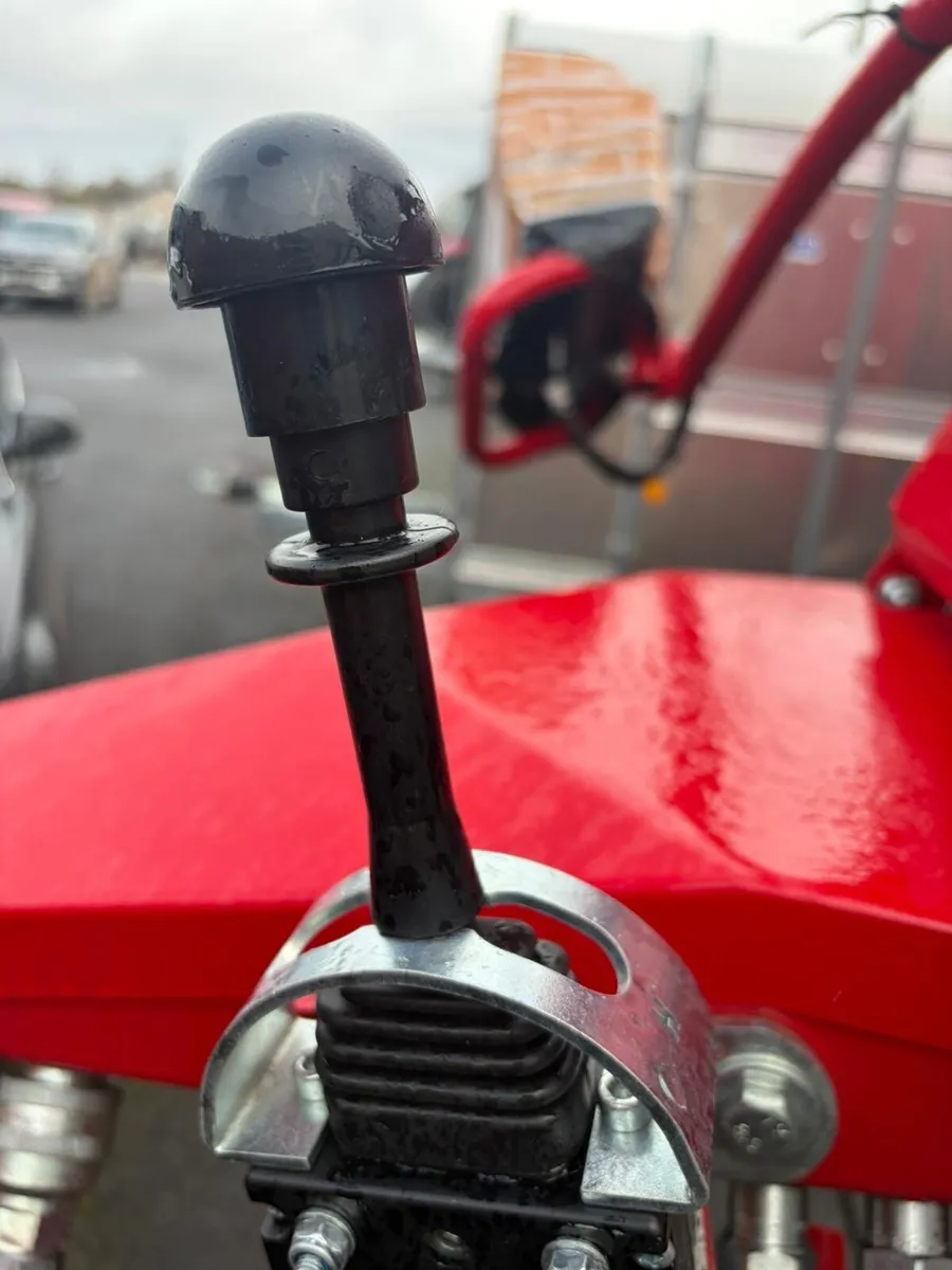 Triolet Diet Feeder- new - Image 1