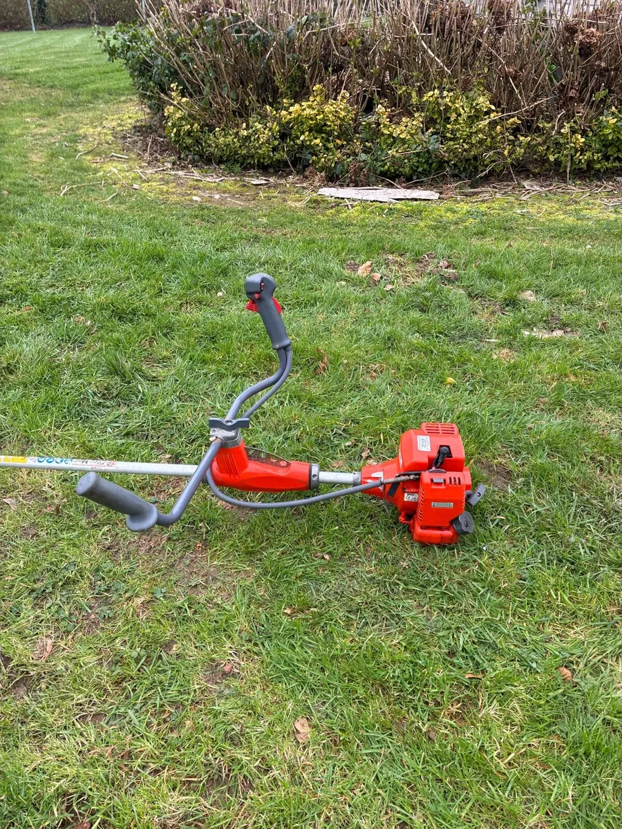 Strimmer - Image 2