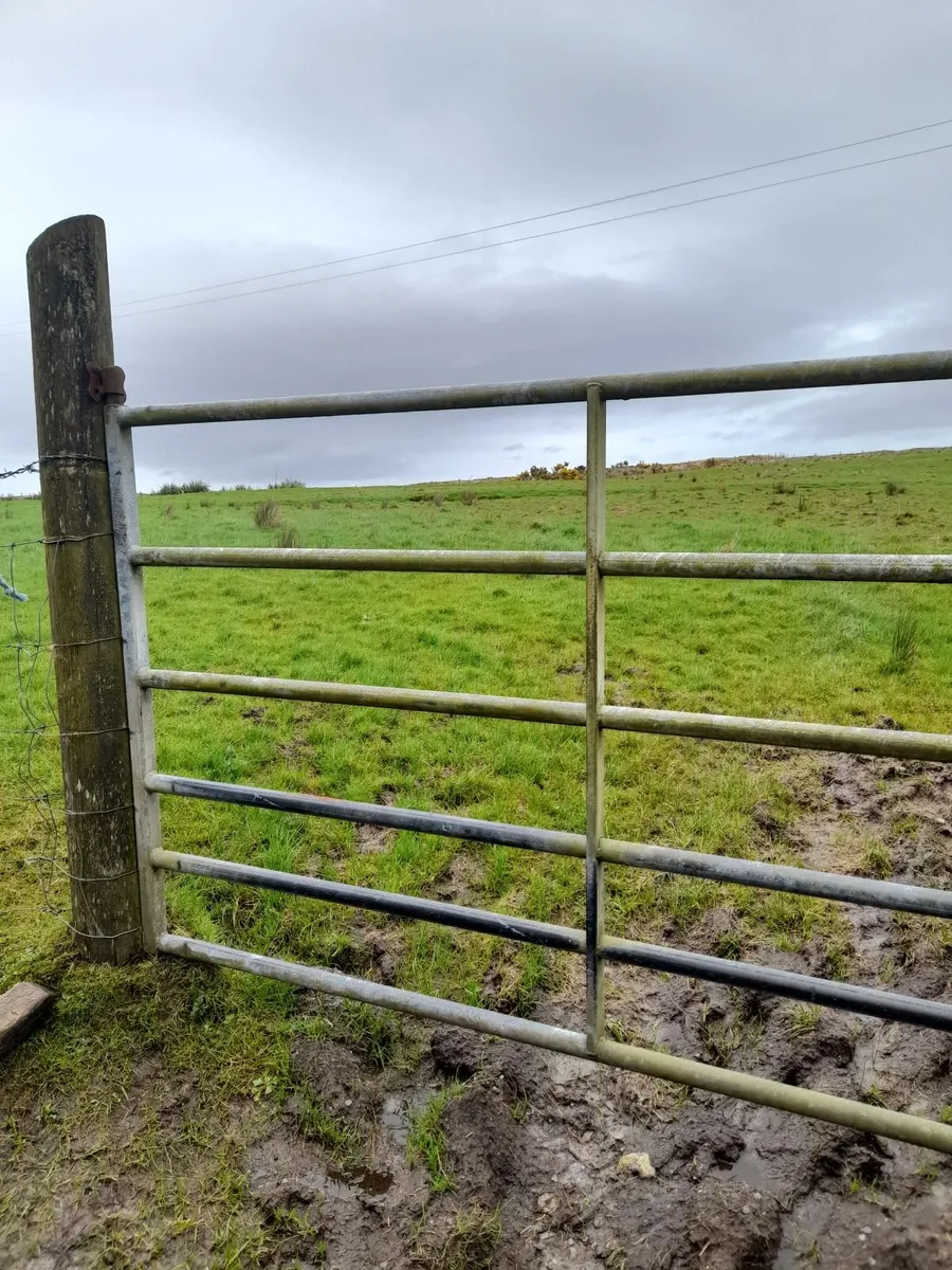 Land to lease in Sligo