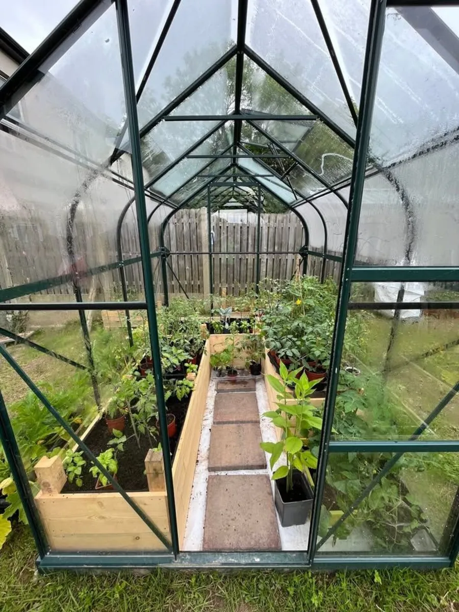 Vitavia Orion Green House 6x8 feet - Image 2