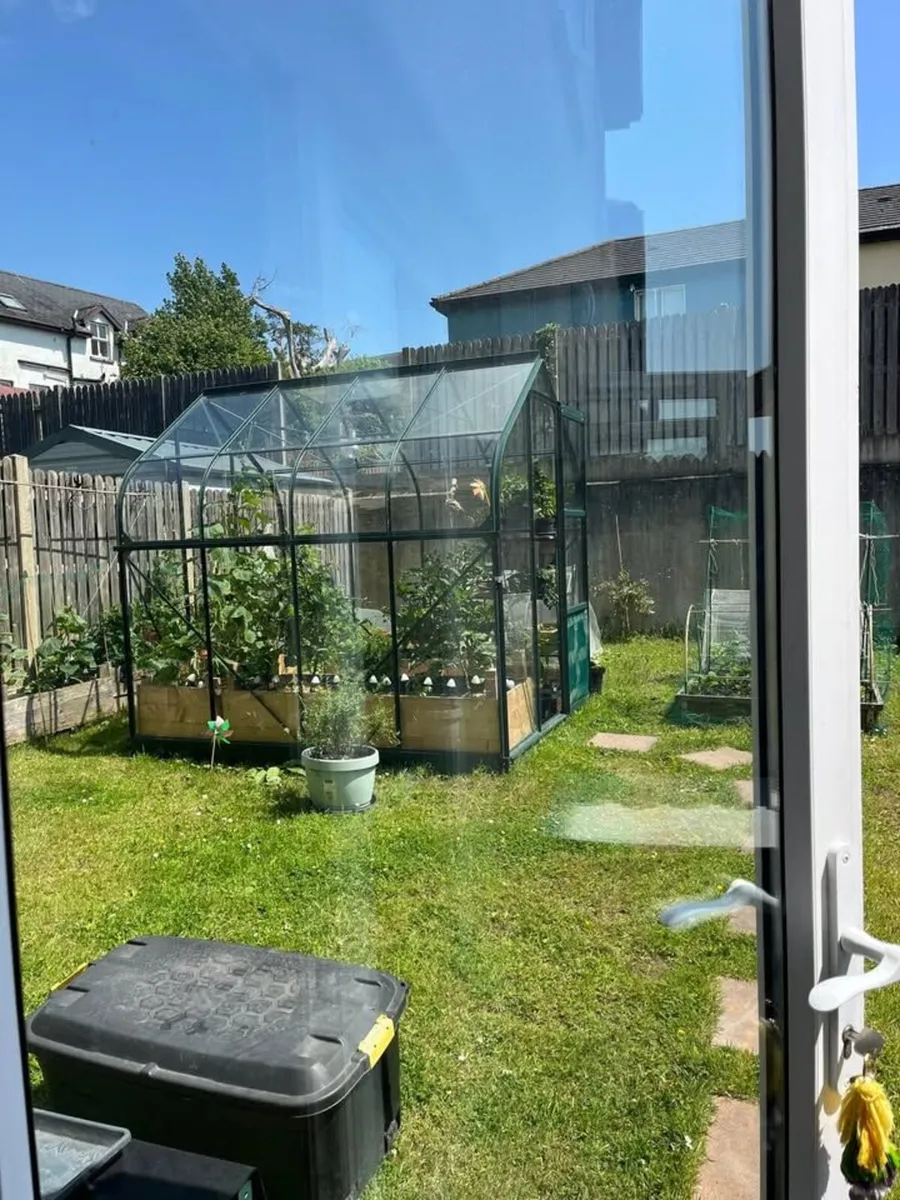 Vitavia Orion Green House 6x8 feet - Image 3