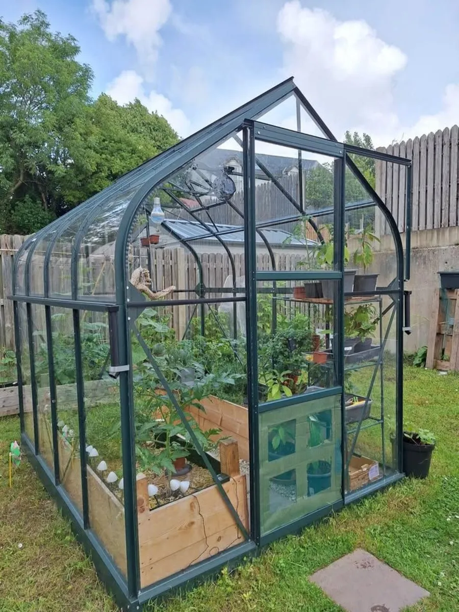 Vitavia Orion Green House 6x8 feet - Image 1