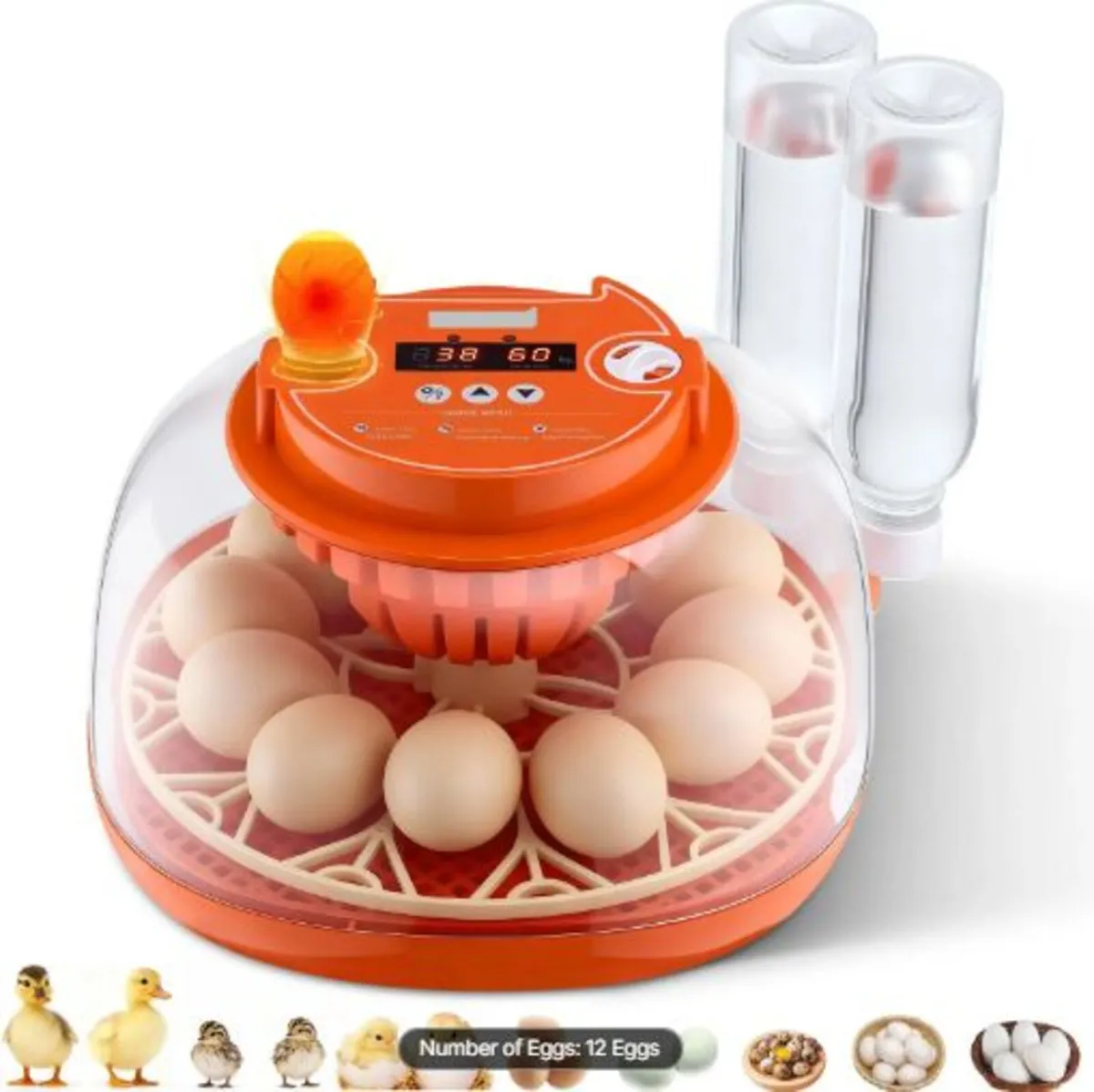 12 Egg Incubator, Automatic Egg Turner with LED - Image 1