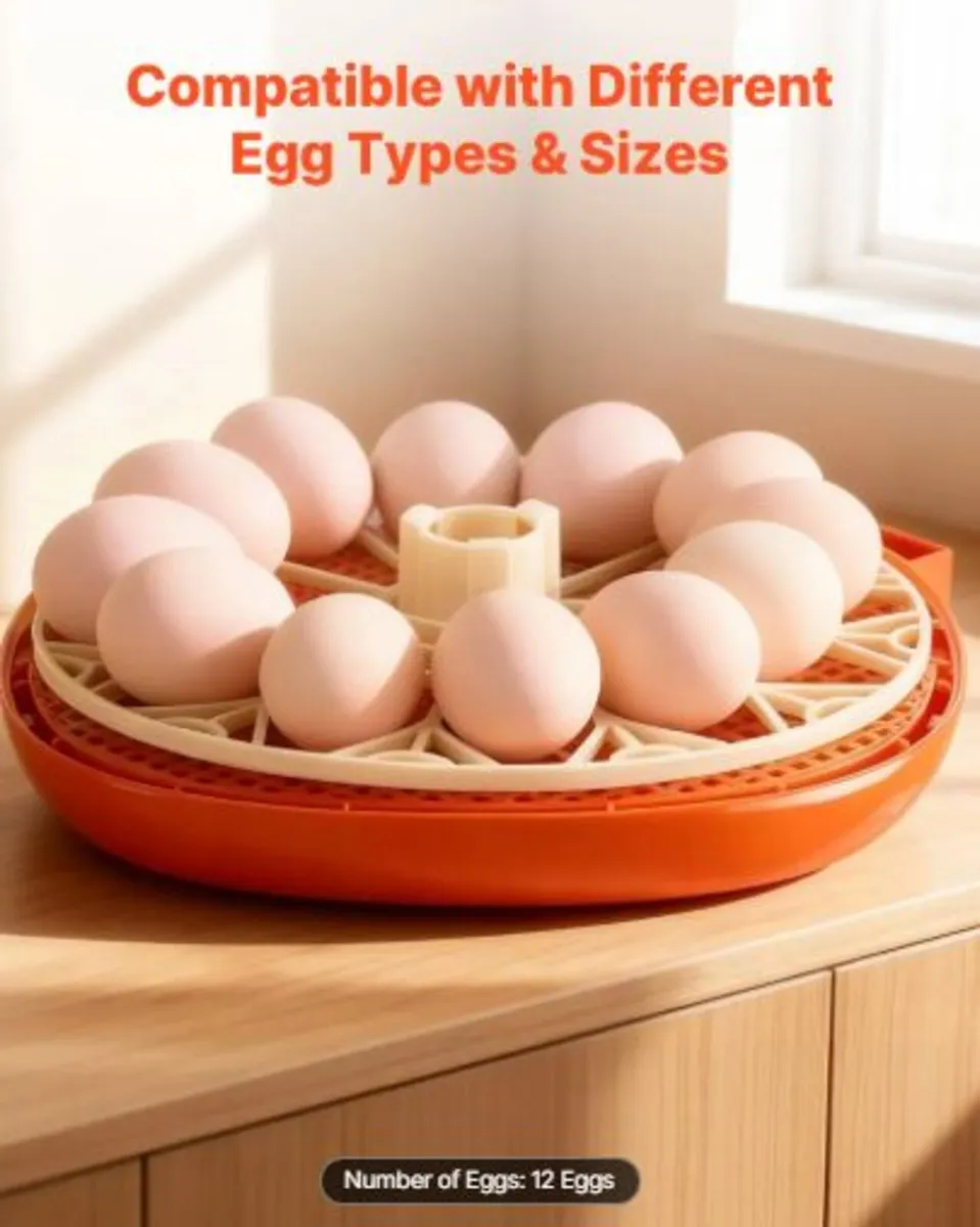 12 Egg Incubator, Automatic Egg Turner with LED - Image 4