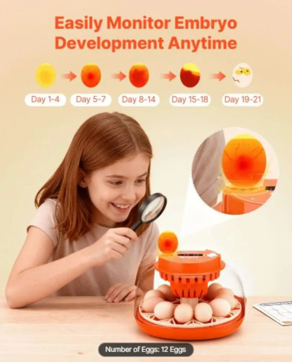 12 Egg Incubator, Automatic Egg Turner with LED - Image 3