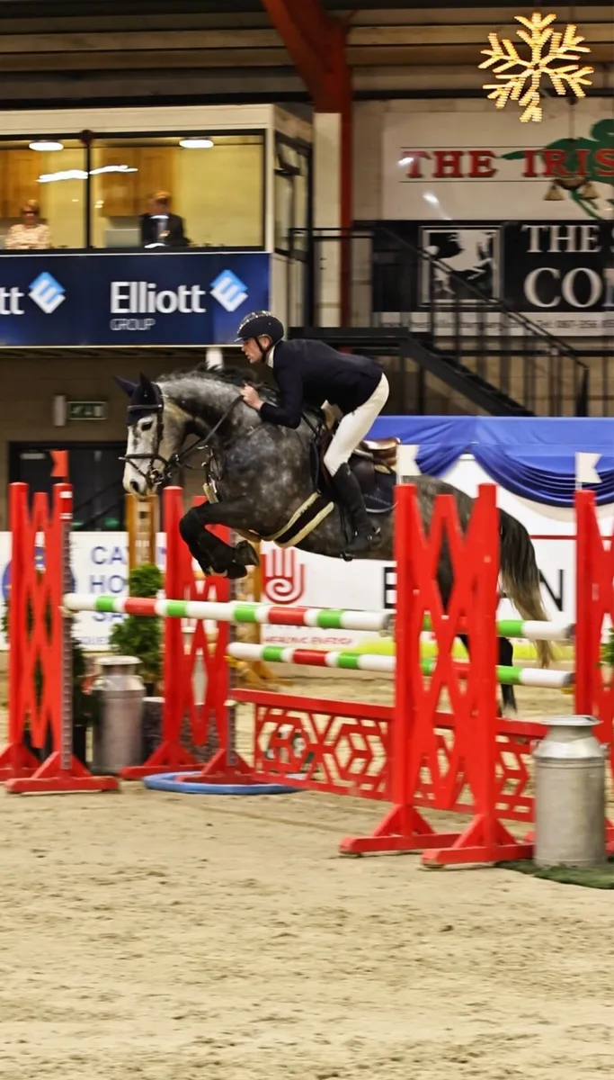 Schooling/Competition - Image 1