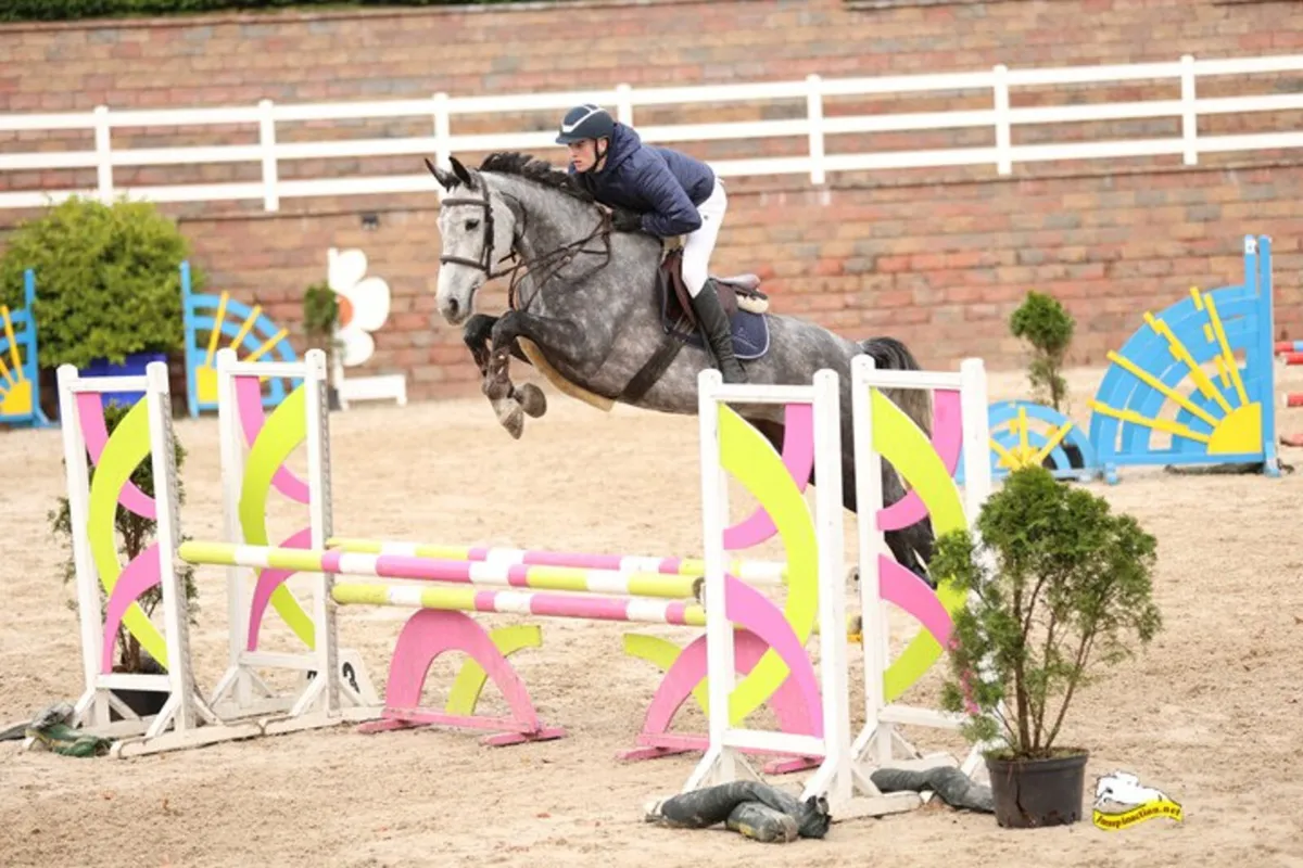 Schooling/Competition - Image 3