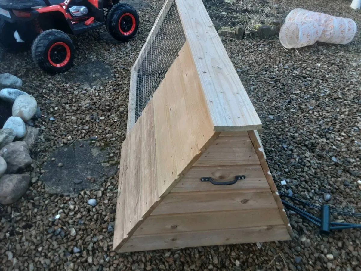 Rabbit run - Image 2