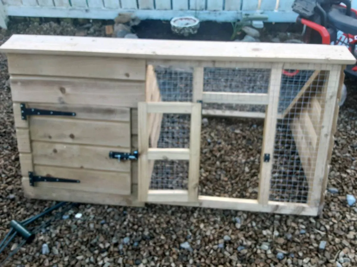 Rabbit run - Image 3