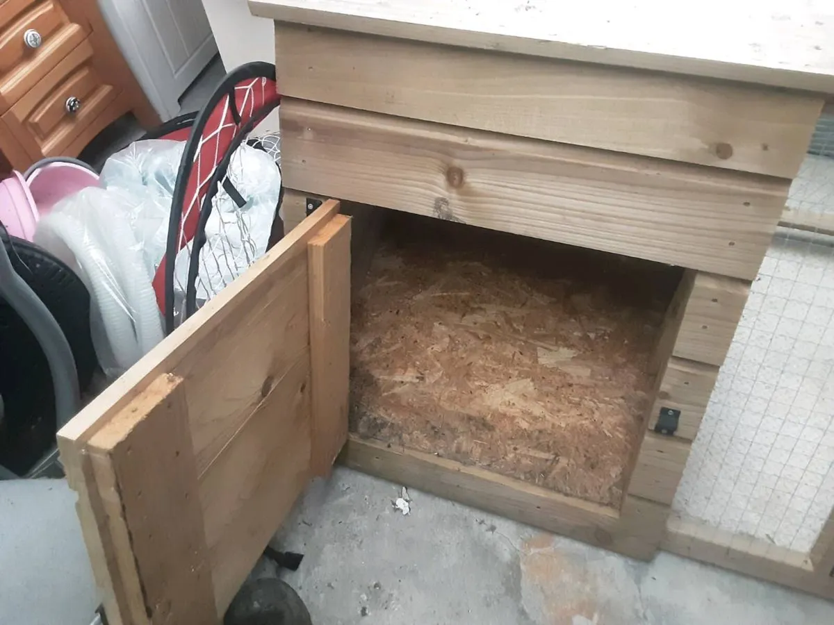 Rabbit run - Image 4