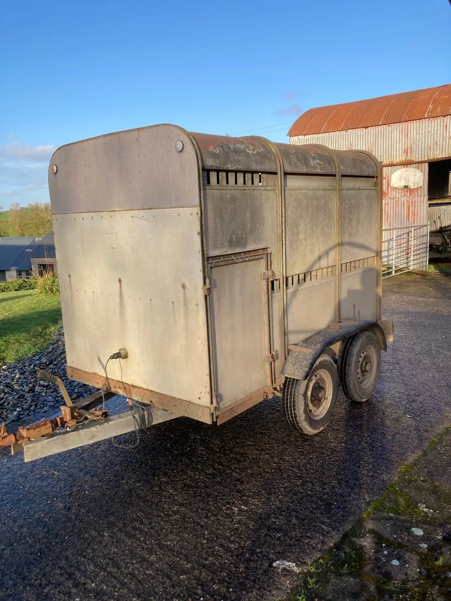 Ifor Williams 8x5 Trailer - Image 3