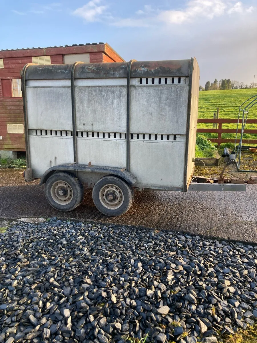 Ifor Williams 8x5 Trailer - Image 2