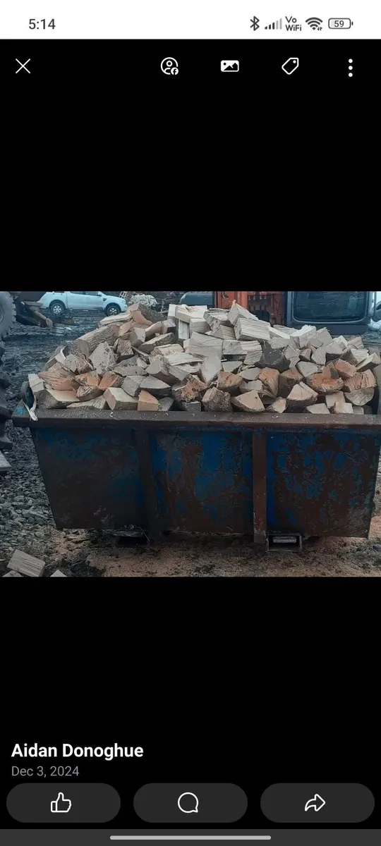 Firewood hardwood - Image 3