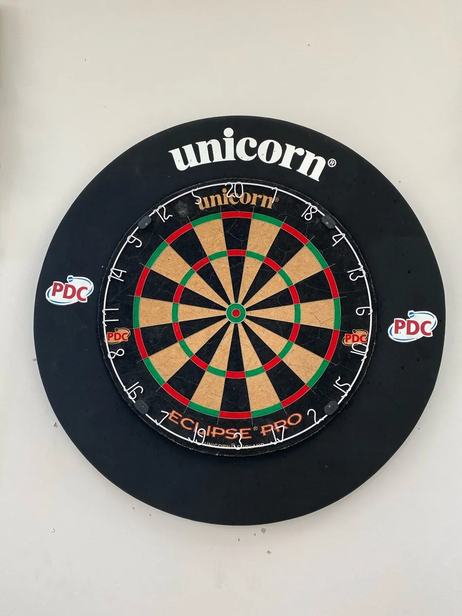 Dart board and surround