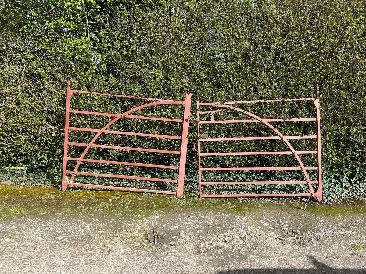 Cast Iron Gates - Image 3